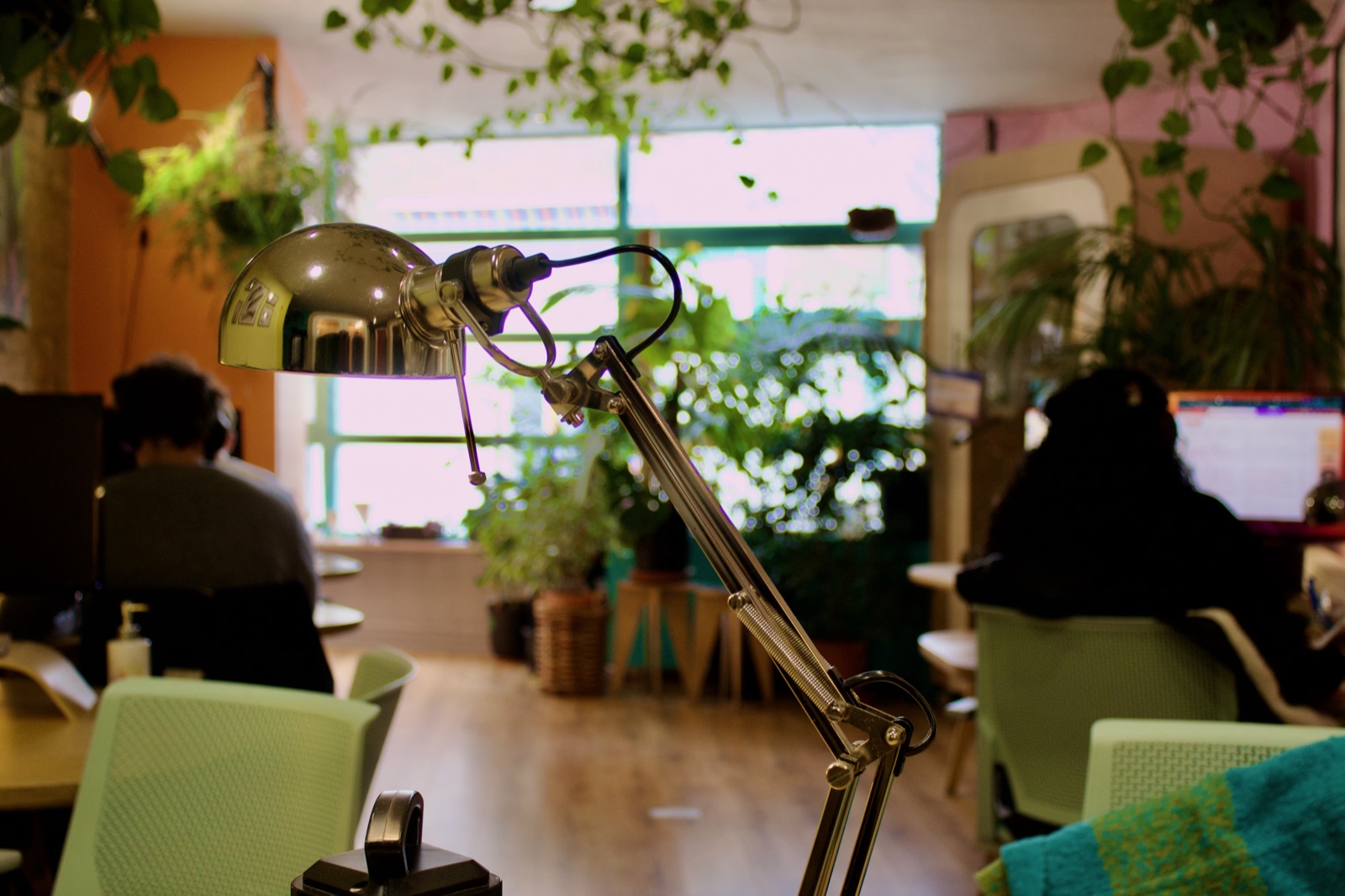 Coworking by the lamp in the Jungle