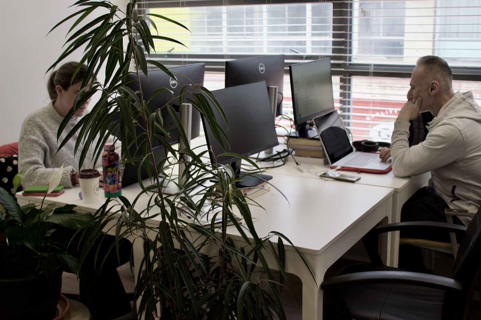 Coworking through a plant in the Chip Shop